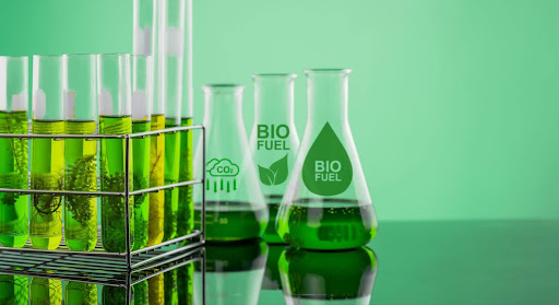 test tubes marked biofuel