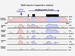Click for a bigger image. Multi-Species Comparative Analysis 